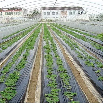 Ploča za malčiranje s rupama